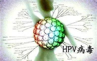 科普 | HPV病毒知多少？