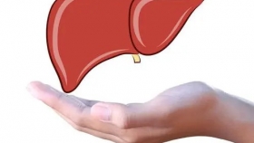 预防乙肝  保护肝脏