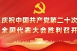 习近平代表第十九届中央委员会向党的二十大作报告（视频文字实录）